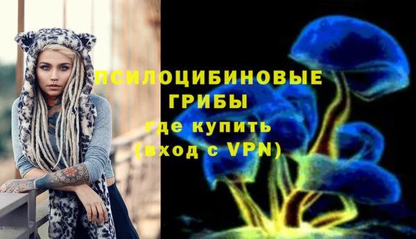 амфетамин Алексеевка