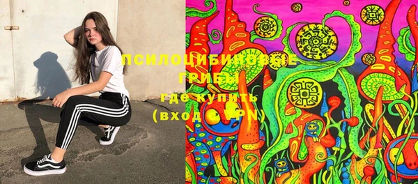 эйфоретик Абинск