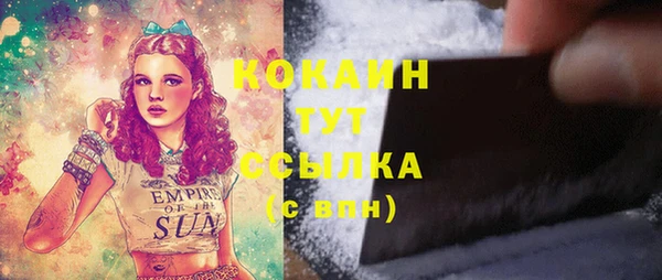 винт Абаза